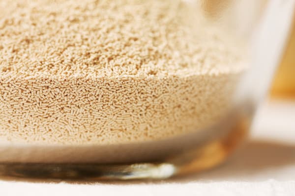 تصویر 3 از فروش خمیر مایه ۸۵ گرمی رضوی + قیمت خرید به صرفه
